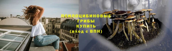 молекула духа Алексин